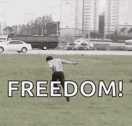 Bts Freedom GIF