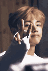 BTS Kim Taehyung V Sign GIF