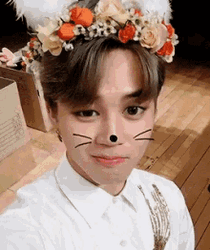 BTS Park Jimin Cat Filter GIF