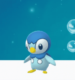 Bubble Boy Piplup GIF