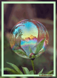 Bubble On Top Of Plant GIF