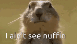 Bubblegum Groundhog  GIF