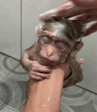 Bubbles Crying With Tears GIF