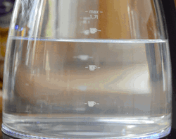 Bubbling Inside Glass GIF