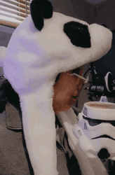 Bubu It's Not A Trap GIF