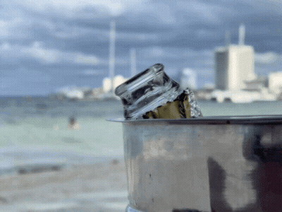 Bucket Of Ice With Bottle GIF