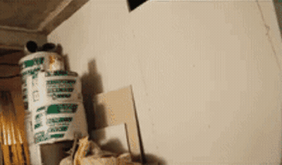 Bucket Stack With Green And White Label A GIF