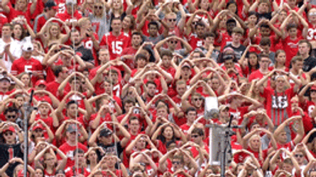 Buckeyes Crowd Exercising GIF
