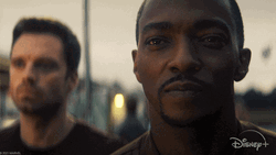 Bucky Barnes Winter Soldier Falcon Smile GIF