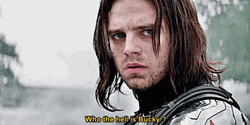 Bucky Has Forgotten Himself GIF