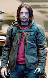 Bucky In Casual GIF
