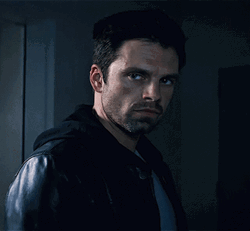 Bucky Staring At Someone GIF