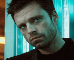 Bucky Staring Seriously GIF