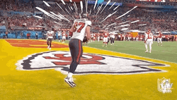Bucs Rob Gronkowski Pounded Ball With Animation GIF