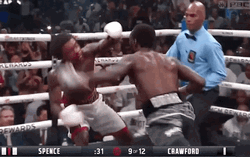 Bud Crawford Fight Stoppage GIF