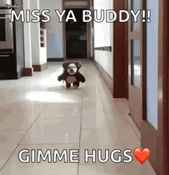 Buddy Bear Running GIF