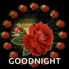 Buds Encircling Big Rose Good Night GIF