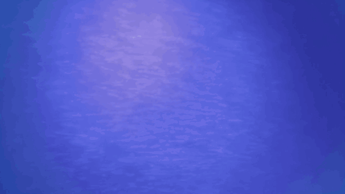 Buena Vista International Television Is A Disney Company GIF