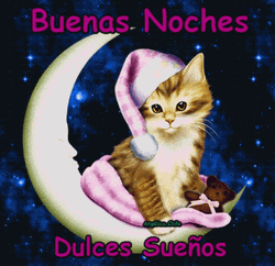 Buenas Noches Bendiciones GIF