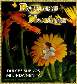 Buenas Noches Bendiciones GIF