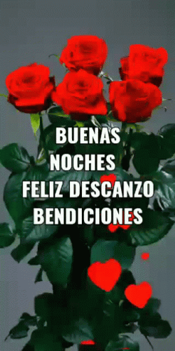 Buenas Noches Bendiciones GIF