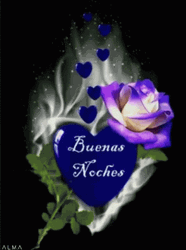 Buenas Noches Bendiciones GIF