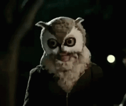 Buenas Noches Buho GIF