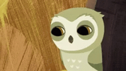Buenas Noches Buho GIF