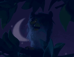 Buenas Noches Buho GIF