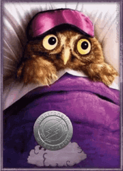 Buenas Noches Buho GIF