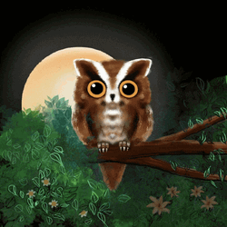 Buenas Noches Buho GIF