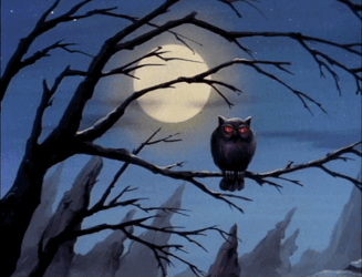 Buenas Noches Buho GIF