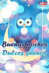 Buenas Noches Buho GIF