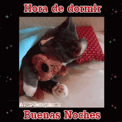 Buenas Noches Con Frio GIF
