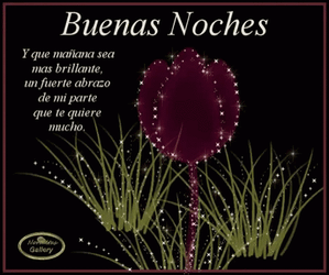 Buenas Noches Con Frio GIF
