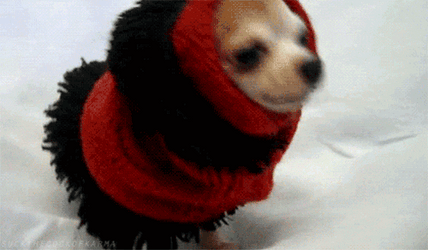 Buenas Noches Con Frio GIF