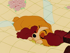 Buenas Noches Disney GIF