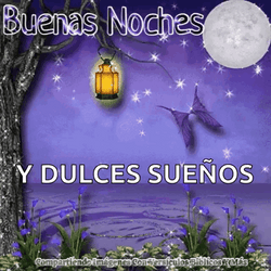 Buenas Noches Dulces Sueños GIF