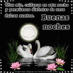 Buenas Noches Dulces Sueños GIF