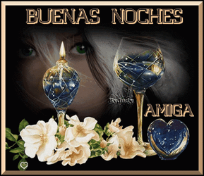 Buenas Noches Feliz Descanso GIF