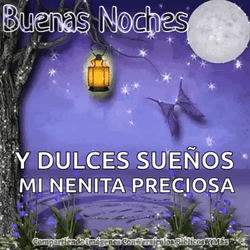 Buenas Noches Feliz Descanso GIF