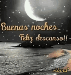 Buenas Noches Feliz Descanso GIF