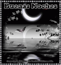Buenas Noches Feliz Descanso GIF
