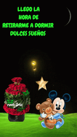 Buenas Noches Feliz Descanso GIF