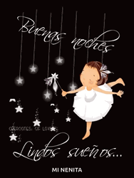 Buenas Noches Feliz Descanso GIF
