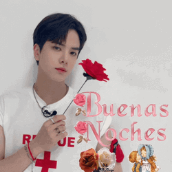 Buenas Noches Feliz Descanso GIF