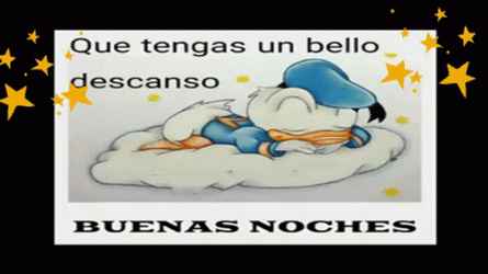 Buenas Noches Feliz Descanso GIF