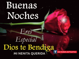 Buenas Noches Feliz Descanso GIF