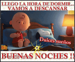 Buenas Noches Feliz Descanso GIF