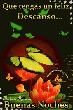 Buenas Noches Feliz Descanso GIF